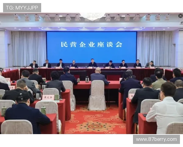 民营企业家座谈会：推动创新发展与社会责任双轮驱动的战略探讨