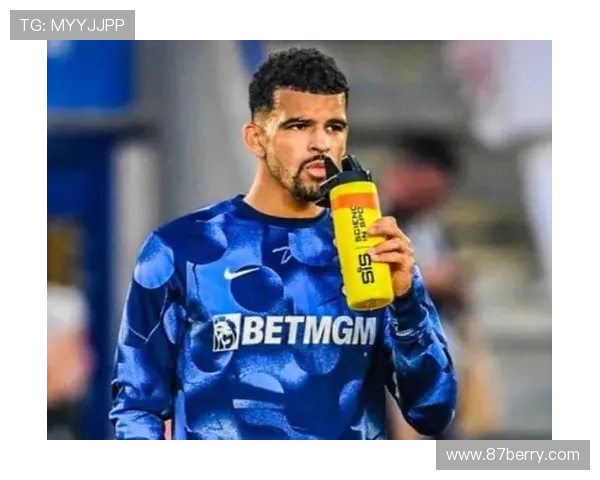 索兰克或赛季报销热刺受重创